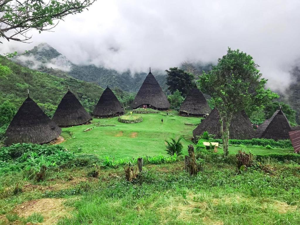 Komodoku One Love Homestay And Tour Лабуан-Бахо Экстерьер фото